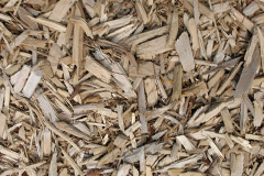 biomass boilers Stixwould